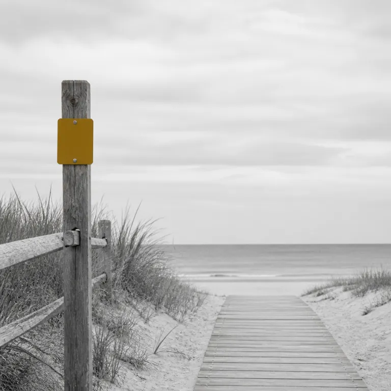 Cape Cod Beach Parking Passes: How to Match Your Hotel Stay to the Right Permits