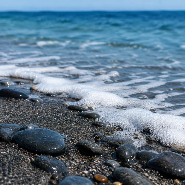 Black Beach in West Falmouth: a quiet coastal escape for discerning Cape Cod hotel guests